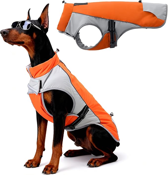 Dog Winter Coat - Waterproof Cold Weather Coat with Thick Padding, Windproof Dog's Snow Jacket with Neck & Tail Drawstrings, Reflective Dog Jacket - Medium Pet Coats, Orange & Gray XL