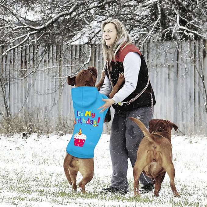 GreenJoy Dog Sweater Dog Hoodie Cold Weather Coat Hooded Sweatshirt for Puppies,Cats, Small Medium Large Dogs (Blue(It's My Birthday), Small)
