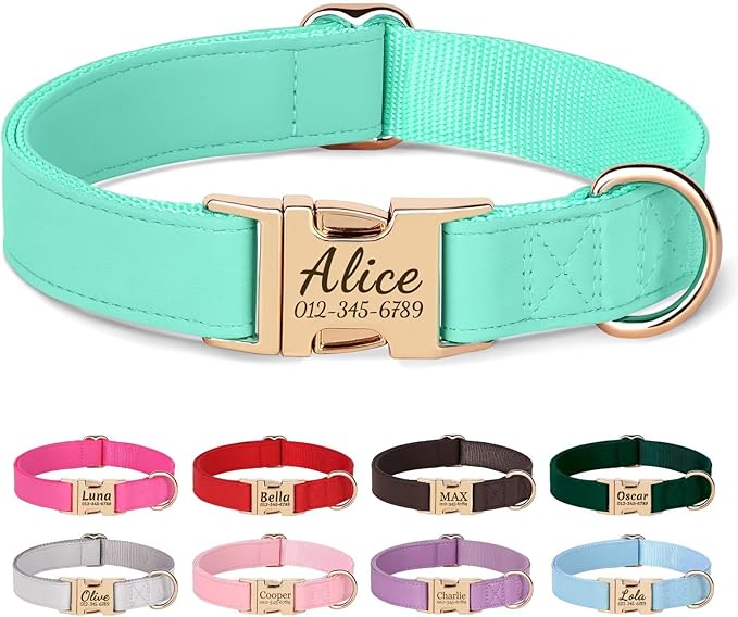 PET ARTIST Personalized Dog Collars, Custom Dog Collar with Engraved Silent Name Tag, Gold Quick Released Buckle & Soft Nylon Padded, Elegant Colors & Matching Leash for Small Dogs,Mint,S Fit 9-14"