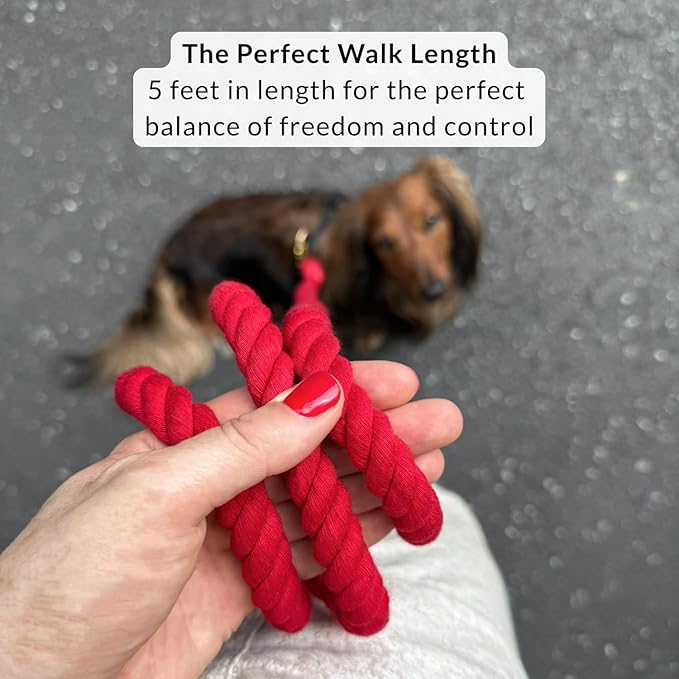 DJANGO Cotton Rope Dog Leash 5ft – Handcrafted Dog Leash and Red Braided Leash for Small, Medium, and Large Dogs – Durable 5 Foot Training Lead with Gold Hardware – Crimson Red