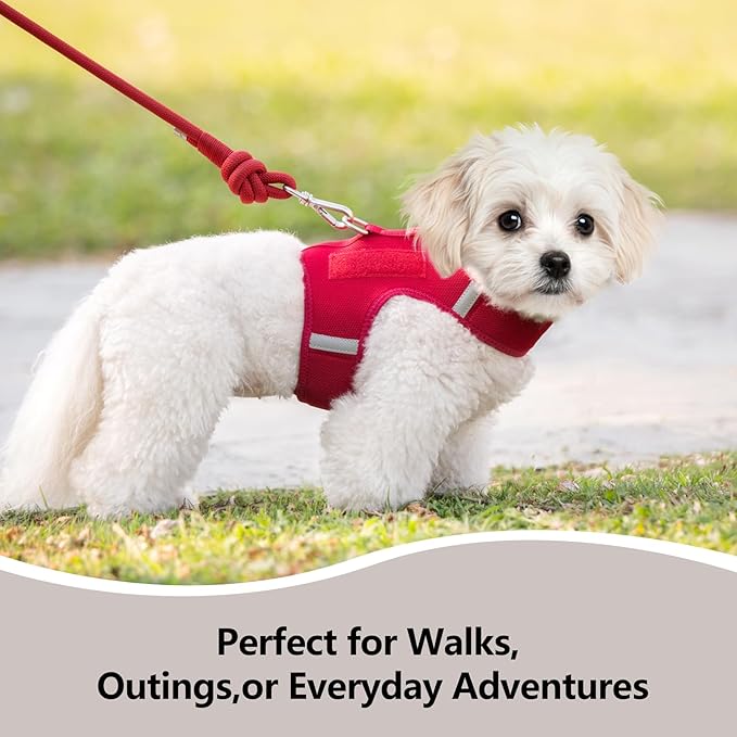 Dog Harness for Puppy – Adjustable Reflective Easy Put On Soft Mesh Vest for Small Dogs with 2 Patches (Burgundy Red,L)