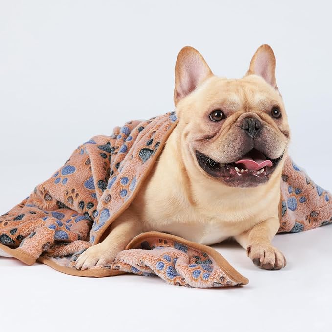 1 Pack 3 Blankets Super Soft Fluffy Premium Fleece Pet Blanket Flannel Throw for Dog Puppy Cat Paw Brown Medium(30x20 inch)