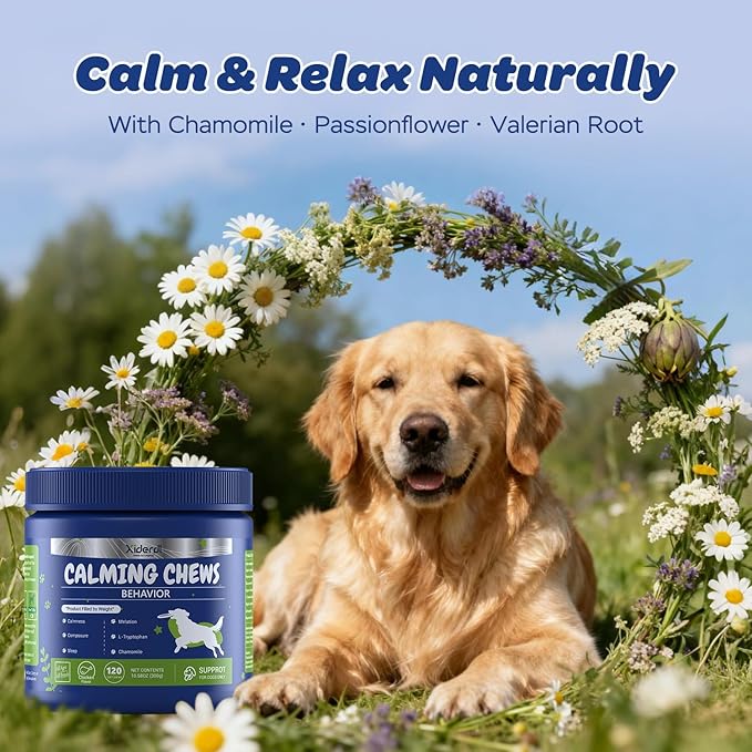 Calming Chews for Dogs – Relaxation & Stress Support with Chamomile, Valerian Root, L-Theanine, Passionflower & Ashwagandha – Calming Support with Glucosamine, Chicken Flavor, 120 Count