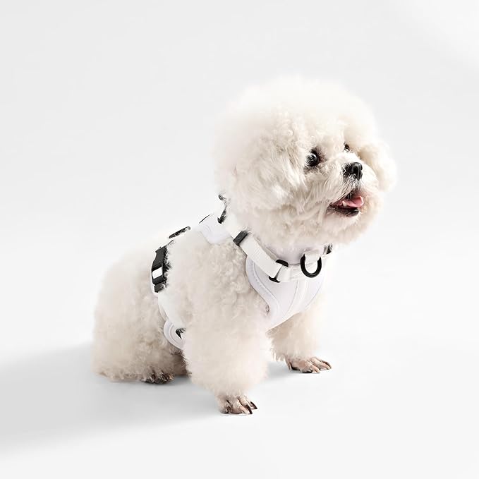 HNS1000F Arlo Extra Small Adjustable Soft Padded No Pull Pet Harness with 3 Buckles and 3 Leash Clips, Seltzer