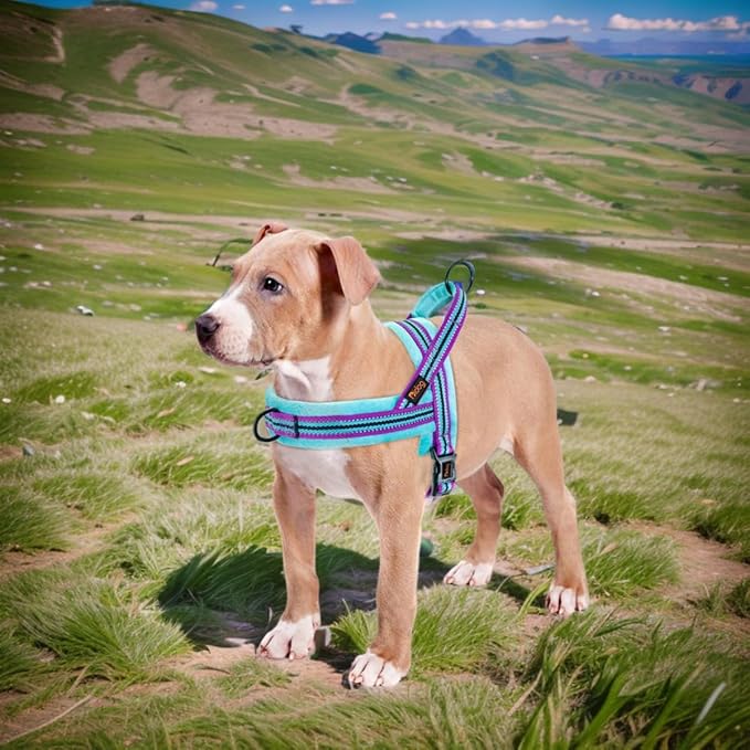 Didog Soft Flannel Padded Dog Vest Harness, No Pull/Quick Fit Reflective Dog Strap Harness, Easy for Training Walking (L:Chest 26-32", Mixed-Blue)