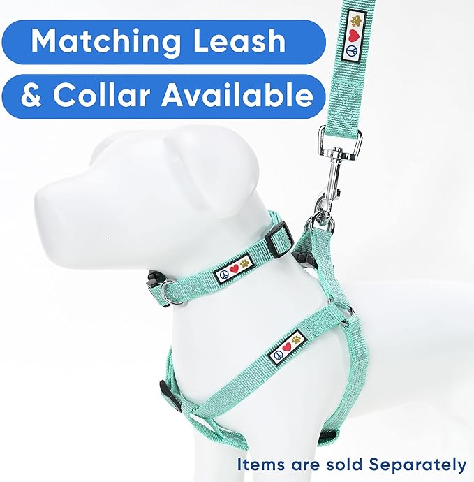 Pawtitas Reflective Step-in Dog Harness – Adjustable No-Pull Vest for Puppies to Seniors, Safe & Comfortable, XS Teal