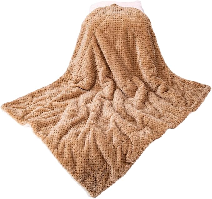 DW-Mocha Fuzzy Dog, Cat & Pet Blanket - Warm & Soft Plush Fleece Receiving Blanket for Dog Bed, Cat Bed, Couch, Sofa, Travel & Outdoor, Camping (24" x 32")