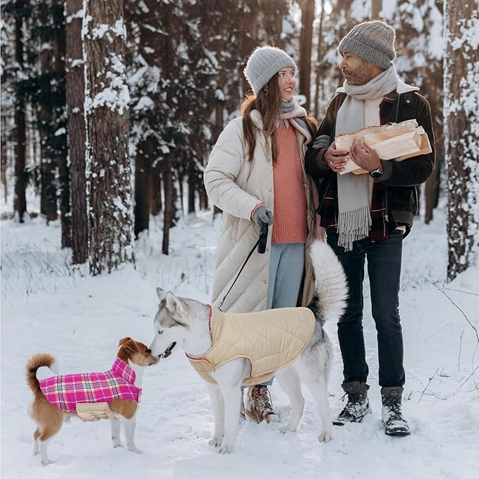 Kuoser Warm Dog Coat, Waterproof Dog Coats for X-Small Dogs, Adjustable Durable Doggie Winter Jacket Reversible Cozy Puppy Cold Weather Apparel from Small to Large Breed, Rose XS