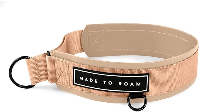 MADE TO ROAM Premium Everyday Dog Collar - Martingale Style No Pull Vegan Leather Collar, Heavy Duty and Lightweight for Small, Medium, Large Dogs (Carolina Blooms, Size 10)