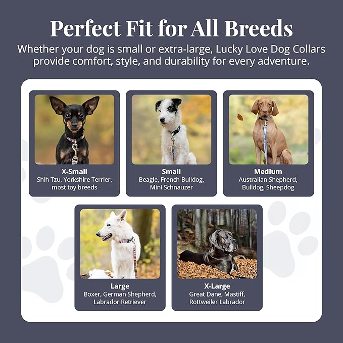 Lucky Love Dog - Adjustable Dog Collar with Easy Click Buckle for Small to Large Ones, Durable, & Comfortable for Male & Female Dogs, Pet Collar for Puppies & Adult Dogs - Blackbird, Large