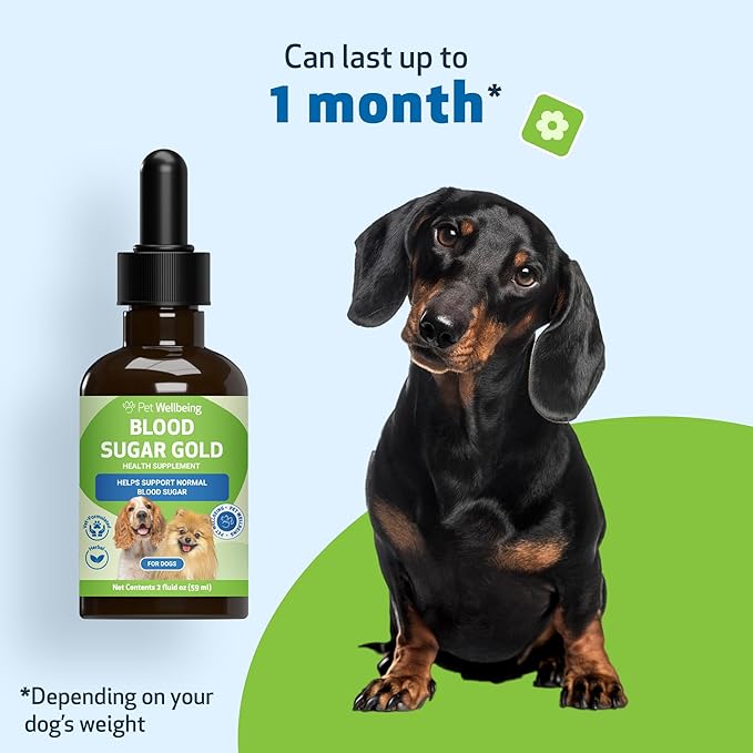 Pet Wellbeing Blood Sugar Gold Dogs - Holistic Blood Sugar Support, Pancreas & Liver Health, Gymnema, Fenugreek & Devil’s Club - NASC Certified & Vet-Formulated - 2 oz Liquid