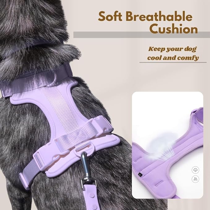 Dog Harness, No-Pull Pet Harness with 3 Leash Clips, Adjustable Soft Padded Dog Vest, Breathable Mesh Cushion for Small Medium Large Dogs (Purple, Large (Neck:20"-25" Chest 28"-41"))