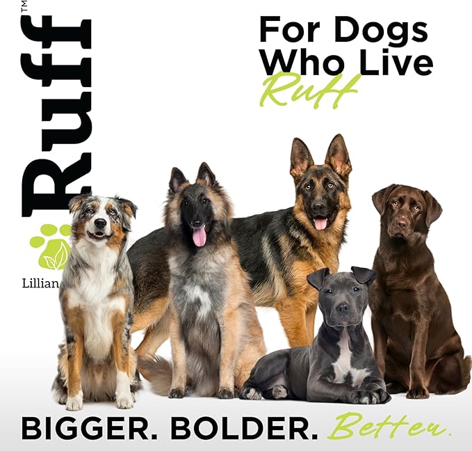 Ruff by Lillian Ruff De-Shedding Shampoo & Oatmeal Conditioner | Coconut Lime & Sandalwood Coconut | Vitamin E, Omega-3, Aloe & Coconut Oil | Moisturizing, Soothing, Deodorizing | Made in USA