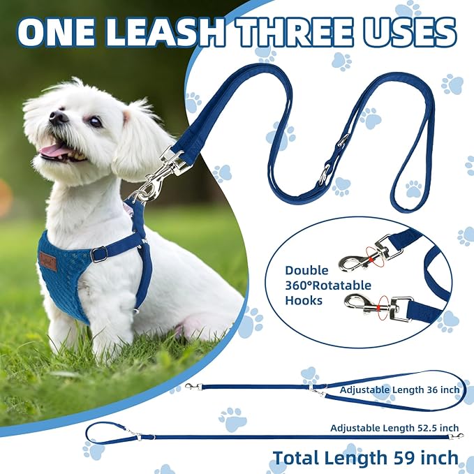 PUPTECK Dog Harness and Leash Set Small Sized, Step-in Cute Puppy Harness, Soft Lightweight Padded Vest, Escape Proof No Pull Pet Harnesses Easy for Walking, Blue, XXS