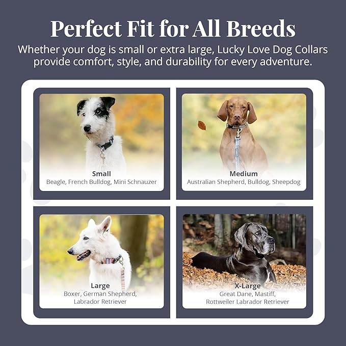 Lucky Love Dog Martingale Dog Collar - Adjustable, No-Slip, Durable, & Soft Webbing Collar for Male and Female Dogs Ideal for Training & Walking - Blackbird, Medium