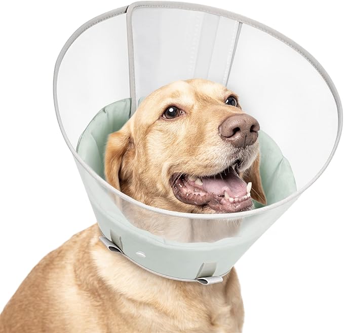 Dog Cone Collar with Snap-on Detachable Soft Liner, Lightweight Transparent Elizabethan Alternative to Stop Licking, for Spay Neuter Surgery Recovery, for Medium Large Small Dogs (Green,M)