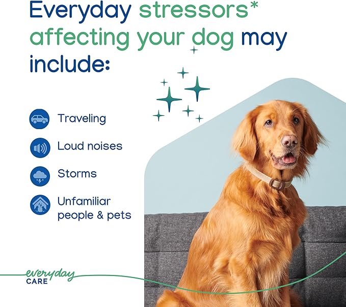 Virbac ZENIDOG Long Acting Dog Calming Pheromone Collar for Stress Relief, Medium/Large Dog - Lasts up to 3 Months