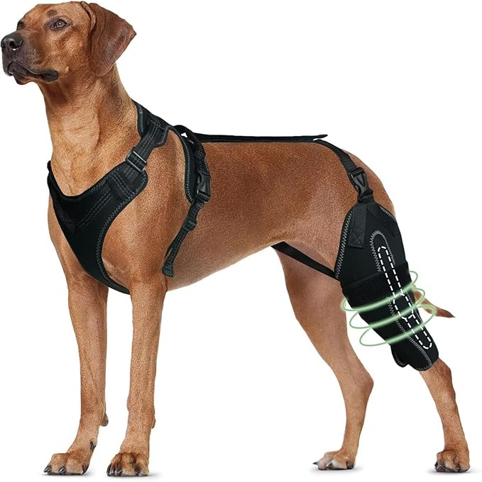 Dog Knee Brace for ACL/CCL Injuries,Torn Ligament,Luxating Patella - Rear Leg Support,Pain Relief,Joint Warmth,Left Legs,Black,Size:M
