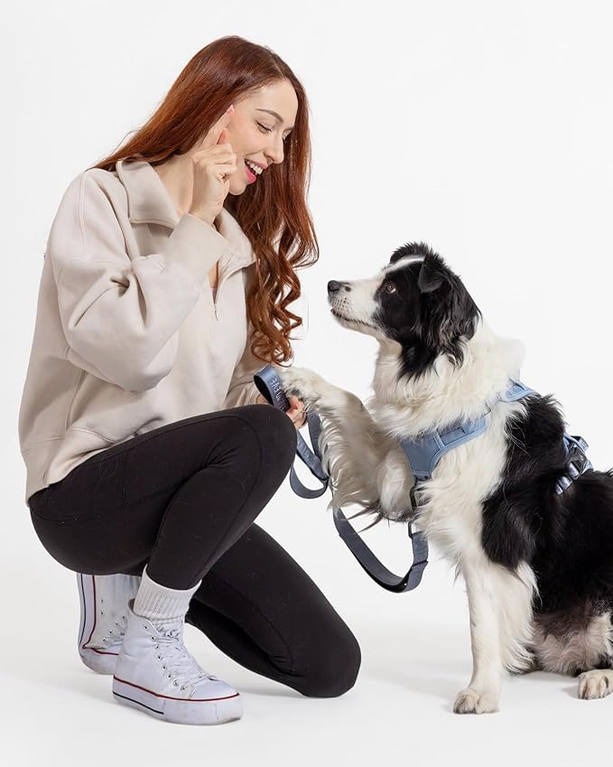 2025 New Edition, Fei & Eve Classic Dog Leash - 6FT, Dual Padded Handles, 360° Swivel Hook, Heavy Duty 210D Nylon - No-Pull Design with Traffic Control Handle - for Small/Medium/Large Dogs, Blue