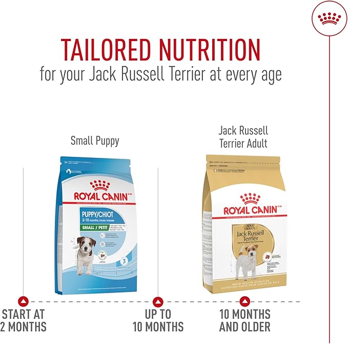 Royal Canin Breed Health Nutrition Jack Russell Terrier Adult Dry Dog Food, 10 lb Bag