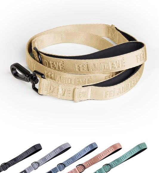 2025 New Edition, Fei & Eve Classic Dog Leash - 4FT, Dual Padded Handles, 360° Swivel Hook, Heavy Duty 210D Nylon - No-Pull Design with Traffic Control Handle - for Small/Medium/Large Dogs, Champagne