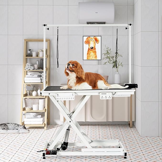 50" Large Dog Grooming Table, Heavy Duty Hydraulic Lift Dog Grooming Table with Aluminium Overhead Arm, Anti Slip Tabletop, 6 Usb Ports for Home and Salon, Maximum Capacity Up to 300Lb, White