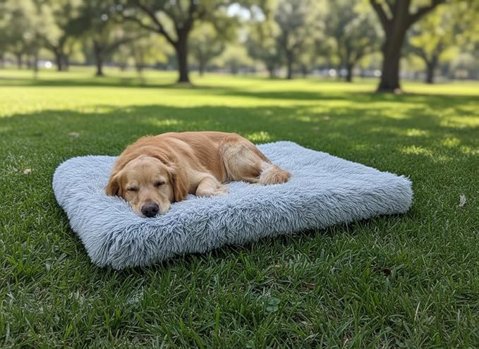 Dog Bed, pet beds (Small) - Premium Quality, Washable & Portable, Eco-Friendly, Multiple Sizes, Stylish Design, Removable Cover, Size Small(15.75 X 11.81 X 2) inch