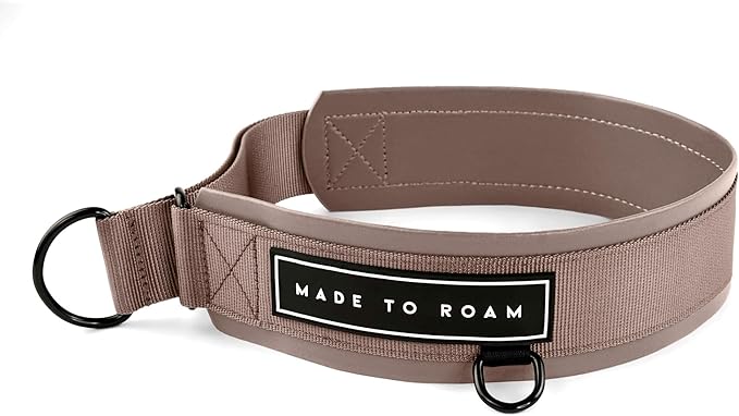 MADE TO ROAM Premium Everyday Dog Collar - Martingale Style No Pull Vegan Leather Collar, Heavy Duty and Lightweight for Small, Medium, Large Dogs (Utah Glow, Size 2)