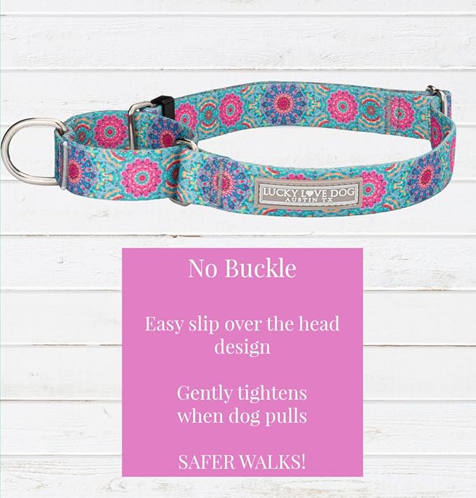 Lucky Love Dog Martingale Dog Collar & Leash - Adjustable, No-Slip, Durable, Comfortable, Soft Webbing, & Stylish Patterned Collar & Leash Set for Male and Female Dogs - Clara Combo, Medium