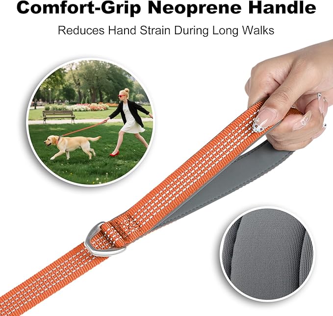 Plutus Pet Heavy Duty Dog Leash with Lockable Aluminum Carabiner, 4/6 Feet Long, Double-Sided Reflective Nylon, Padded Handle, for Puppy, Small, Medium and Large Dogs (Orange, 1" x 6')