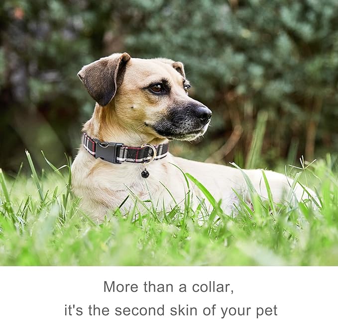 Cute Plaid Dog Collar with Safety Buckle - Adjustable and Comfortable Dog Collars for Small Medium Large Dogs, Stylish Puppy Collar for Boy Girl Pets