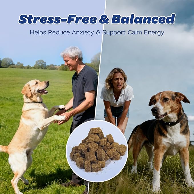 Calming Chews for Dogs – Relaxation & Stress Support with Chamomile, Valerian Root, L-Theanine, Passionflower & Ashwagandha – Calming Support with Glucosamine, Chicken Flavor, 120 Count