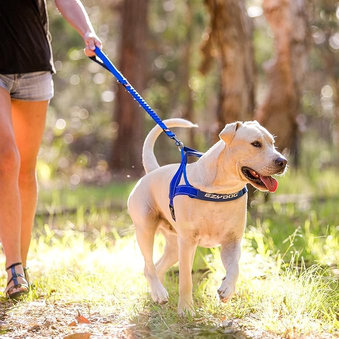EzyDog Zero Shock Dog Leash - Shock Absorbing Bungee Leash for Dogs That Pull or Excite - Dual Handle and Reflective for Large, Medium, or Small Dogs (48-Inch, Pink Camo)