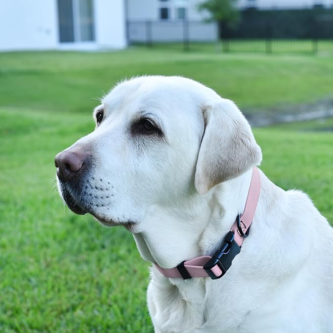 Dogline Durable Biothane Waterproof Collar for Dogs - Odor-Resistant Coated Webbing, Quick-Release Design, Comfortable Adjustable Fit, 5/8" W by 10-14" L,Pastel Purple