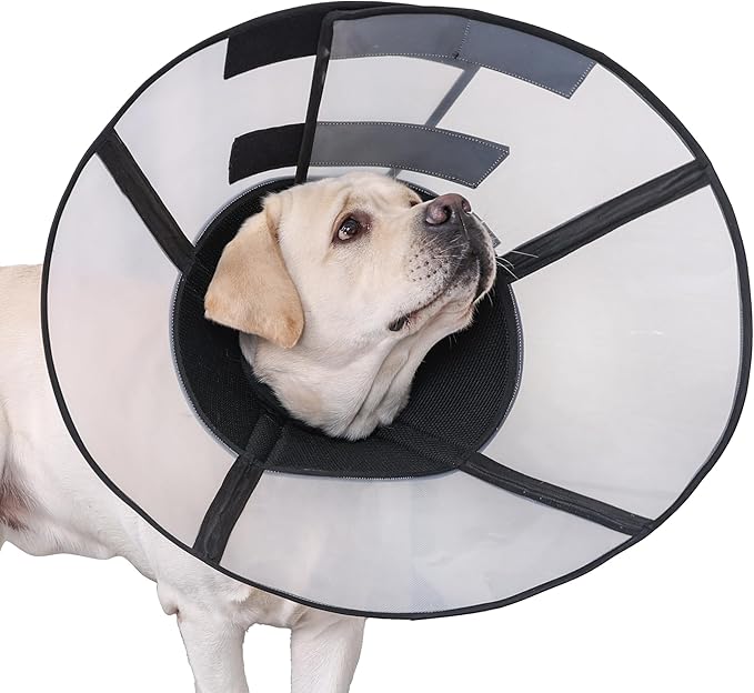 DogLemi Pet Cone Collar, Soft Dog Cone Alternative After Surgery, Adjustable Elizabeth Collar, Comfortable Pet Head Cone to Stop Licking, Suitable for Medium to Large Dogs (L)