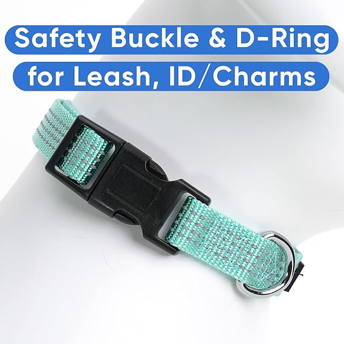 Pawtitas Reflective Dog Collar Adjustable Dog Collars for Small Dogs Puppy Collar Small Dog Collar Teal Dog Collar