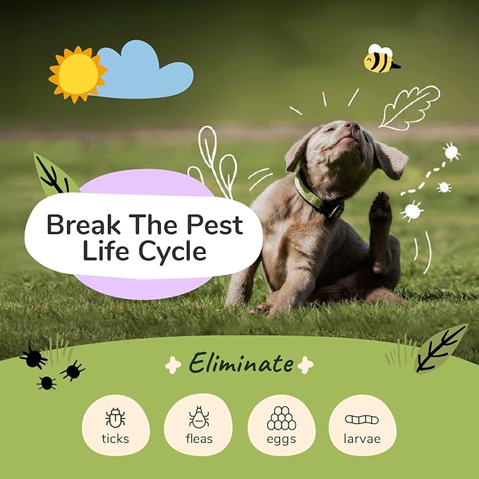 kin+kind Flea and Tick Shampoo for Dogs Vet Formulated - Plant Powered, Safe and Effective Dog Shampoo with Coconut and Olive Oil - Lavender Scent - Prevent Fleas and Ticks - Made in USA 12 fl oz
