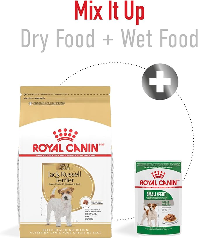 Royal Canin Breed Health Nutrition Jack Russell Terrier Adult Dry Dog Food, 10 lb Bag