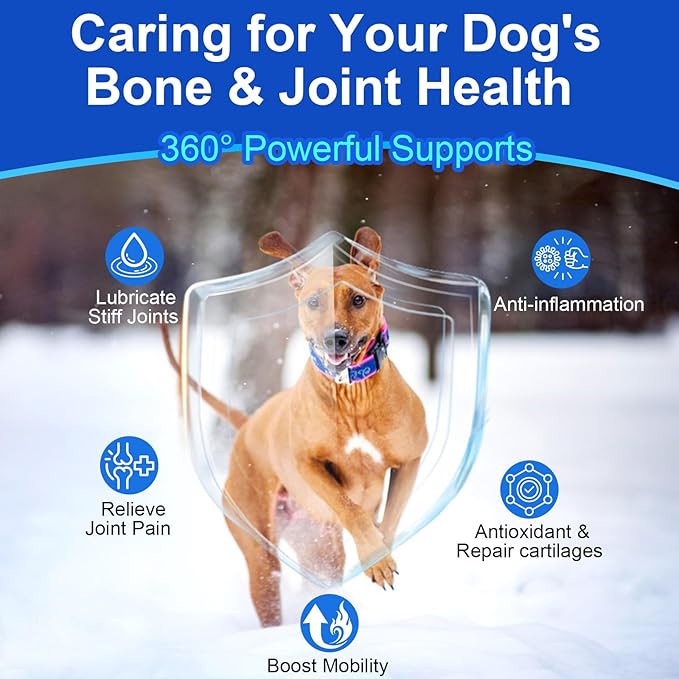 Advanced Dog Hip & Joint Supplement - 200 Soft Chews with Glucosamine for Dogs, Chondroitin, MSM, Turmeric & Green Lipped Mussel | Supports Mobility, Comfort & Cartilage Repair for Senior & All Breeds