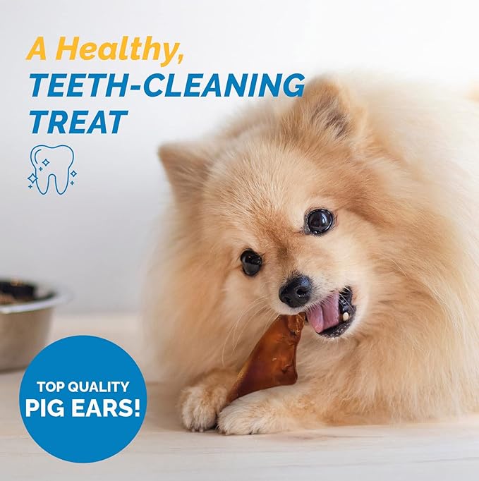 123 Treats Pig Ears for Dogs, 100% Natural Long Lasting Pork Dog Chews, Ideal for All Chewers, Delicious and Healthy Dog Treats, Half Pig Ears (One Pack of 30)