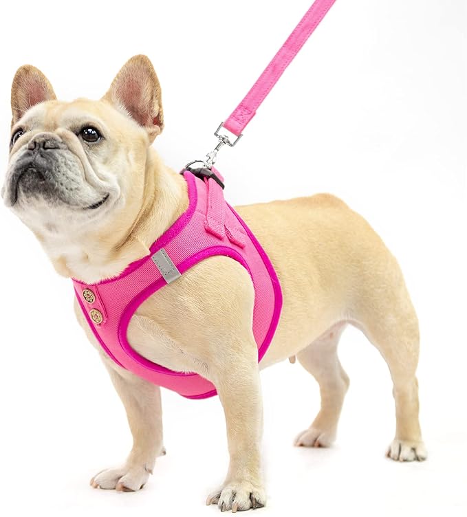 PUPTECK Dog Harness and Leash Set for Small Medium Dogs No Pull Step-in Soft Mesh Puppy Cat Vest Harnesses Reflective at Night, Denim Pink S