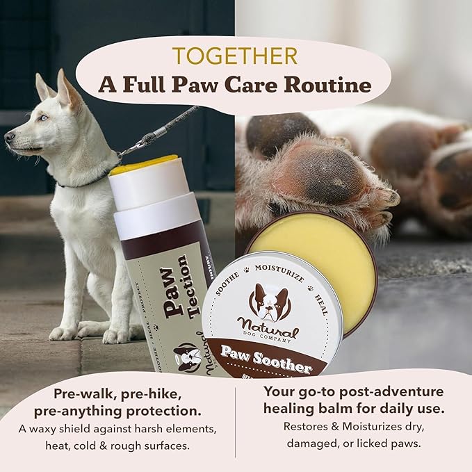 Natural Dog Company PawTection Balm 2 oz Stick – Dog Paw Protection Wax with Shea Butter & Calendula – Shields Paws from Snow, Ice, Salt, Hot Pavement & Rough Terrain – Lick-Safe, Vegan
