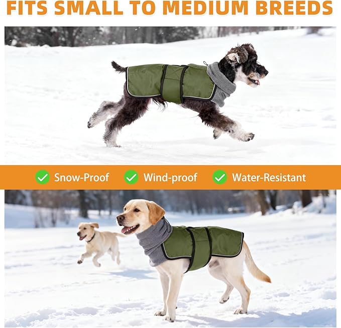 KOOLTAIL Dog Winter Coat for Small Medium Dogs, Waterproof&Windproof Puppy Jacket with Fleece Lining and High Collar for Cold Weather, Reflective Warm Pet Snowsuit Vest Clothes with Leash Hole,Green M