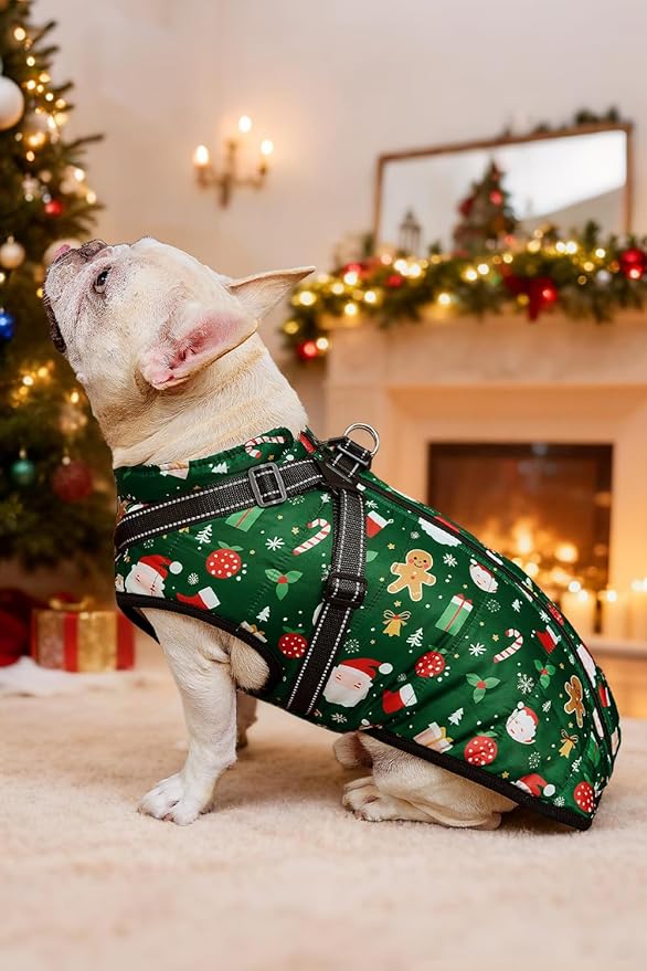 Aiboria Dog Jackets for Winter Windproof Waterproof Vest Fleece Warm Dogs Coat with Belt Christmas Green S