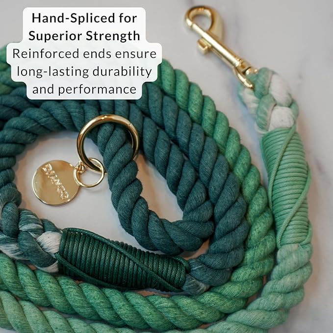 DJANGO Cotton Rope Dog Leash 5ft – Handcrafted Dog Leash and Green Braided Leash for Small, Medium, Large Dogs – Durable 5 Foot Training Lead with Gold Hardware and Whipped Ends – Forest Green Ombre