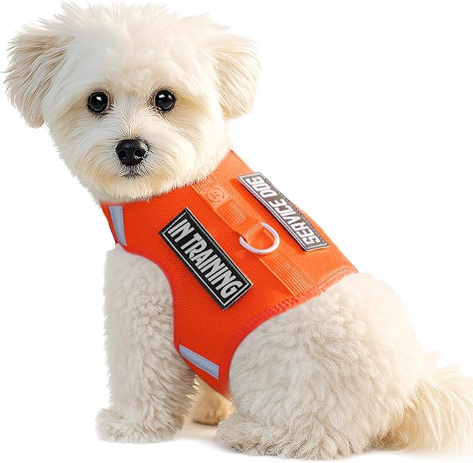Dog Harness for Puppy – Adjustable Reflective Easy Put On Soft Mesh Vest for Small Dogs with 2 Patches (Orange,S)