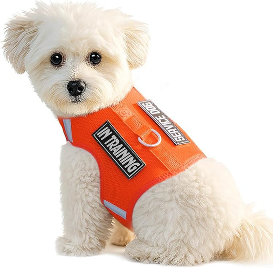 Dog Harness for Puppy – Adjustable Reflective Easy Put On Soft Mesh Vest for Small Dogs with 2 Patches (Orange,S)