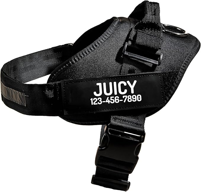PawPawify Custom No Pull Dog Harness with Name and Phone Number, Heavy Duty Personalized Pet Vest to Prevent Tugging, Pulling, or Choking, Training and Walking (Black, XXL (Chest 36-42in))