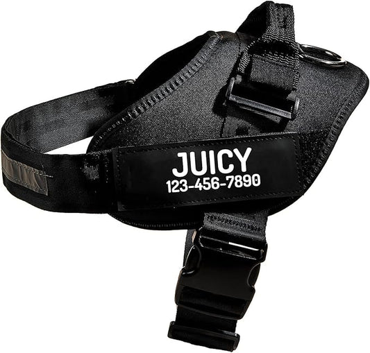 PawPawify Custom No Pull Dog Harness with Name and Phone Number, Heavy Duty Personalized Pet Vest to Prevent Tugging, Pulling, or Choking, Training and Walking (Black, XL (Chest 28-35in))