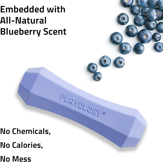 Playology Dog Toys | Durable Squeaky Chew Stick for Dogs | Medium Blueberry Scented Toy - Easy to Clean and Made from Non Toxic Materials